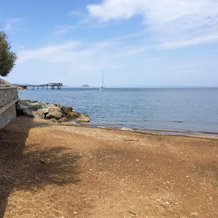 Il Giardino Di Rio - Helloelba