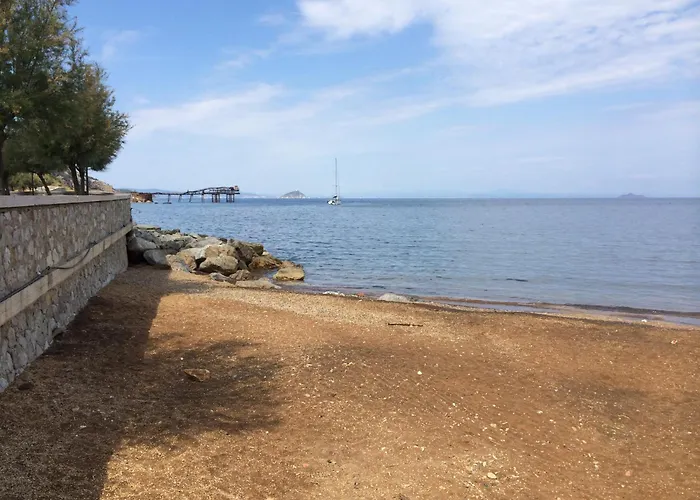 Il Giardino Di Rio - Helloelba